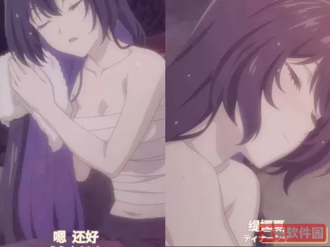 无主之地2：魔女复活的用途与攻略解析图3