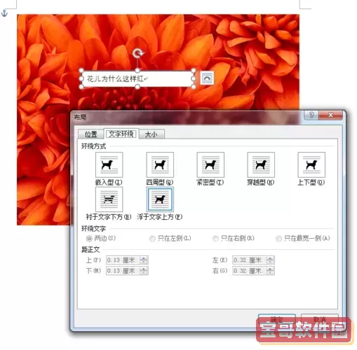 word上怎么在图片上加文字图3