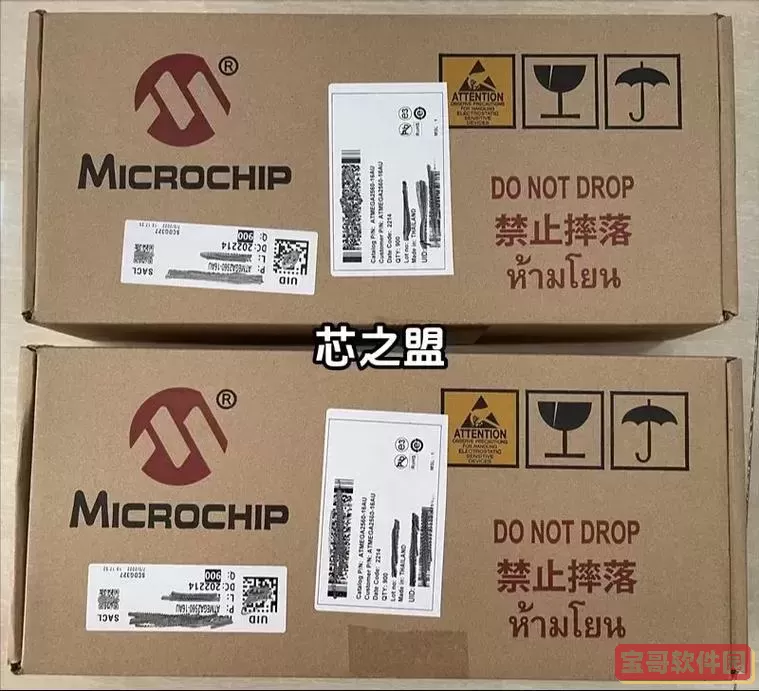 microchip是什么牌子，micron是什么牌子图2