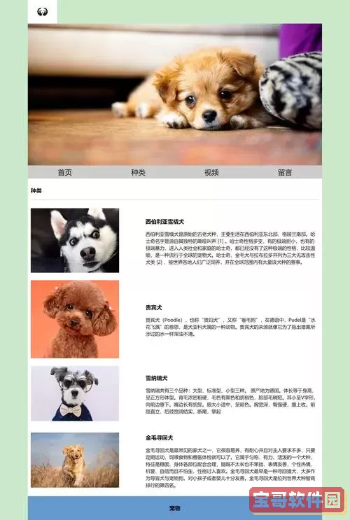 全面解析HTML与CSS静态网页制作技巧与实例指南图3