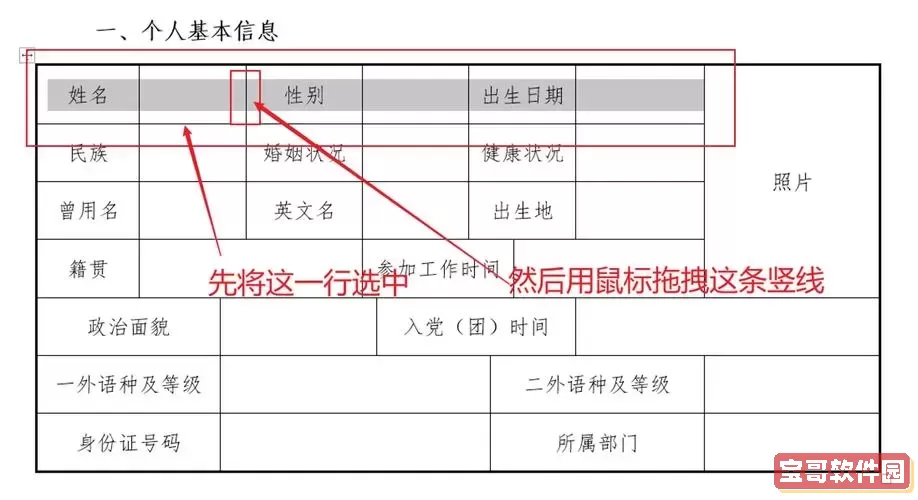 word表格怎么改变格子大小图2