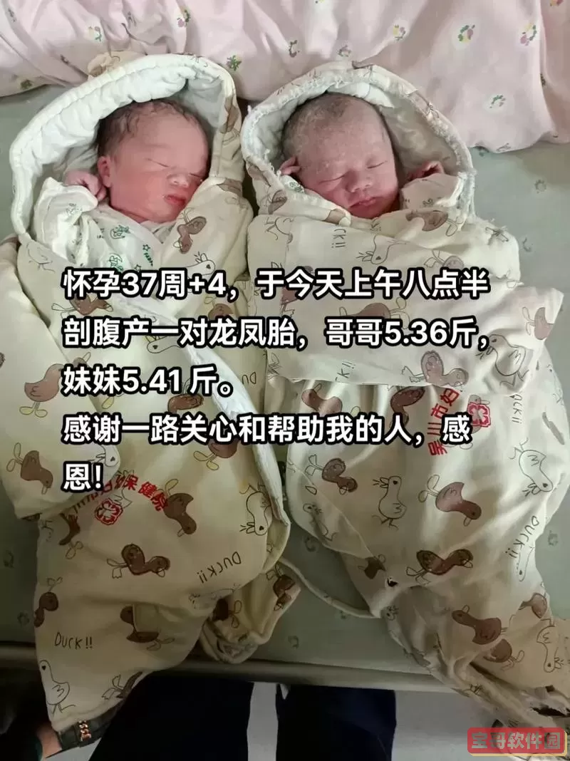 双子村双胞胎只能活一个图1