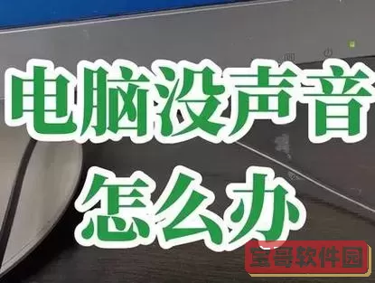 台式电脑扬声器正常但是没有声音-台式电脑扬声器正常但是没有声音怎么回事图1