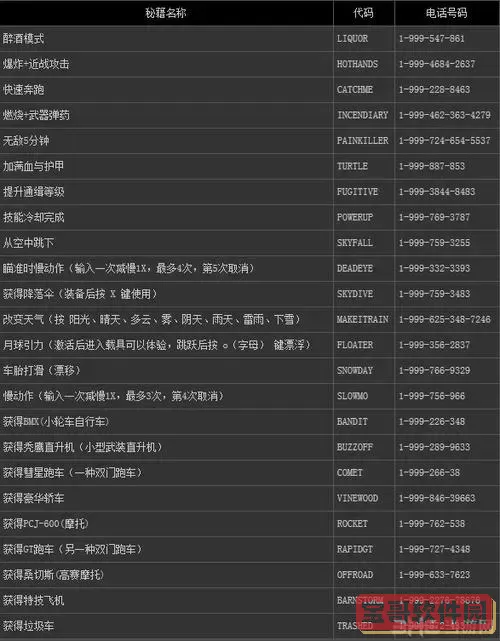 侠盗猎车5秘籍秘籍大全图2