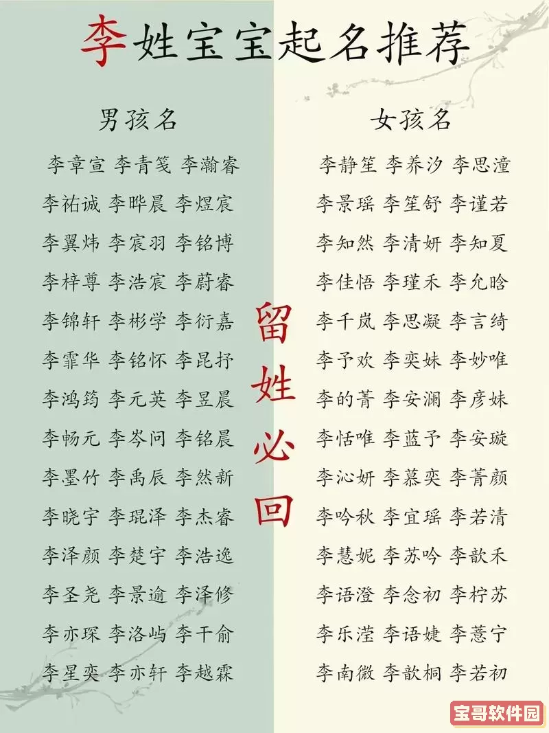 使用Access创建查询以查找并显示姓李的所有姓名信息图1