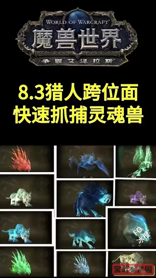 魔兽世界新版本灵魂兽图2