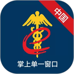 掌上单一窗口下载免费