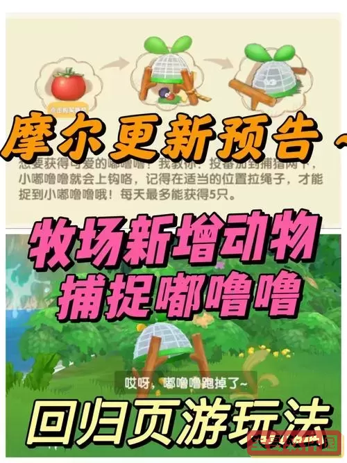 摩尔庄园手游嘟噜噜怎么抓,摩尔庄园手游嘟噜噜出现时间图1