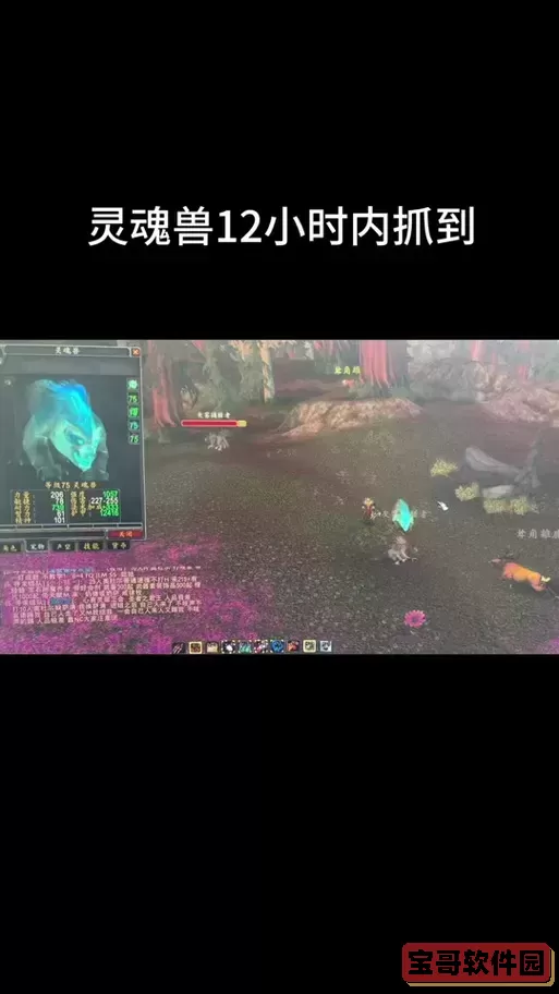 魔兽世界抓灵魂兽的宏图1