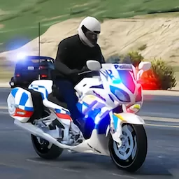 警察捉小偷官方版