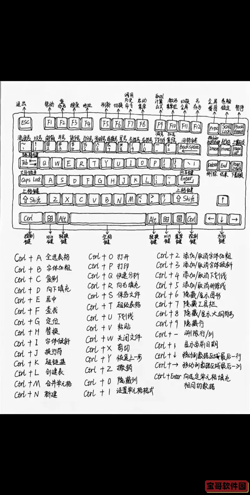 excel适应单元格大小快捷键是什么图1