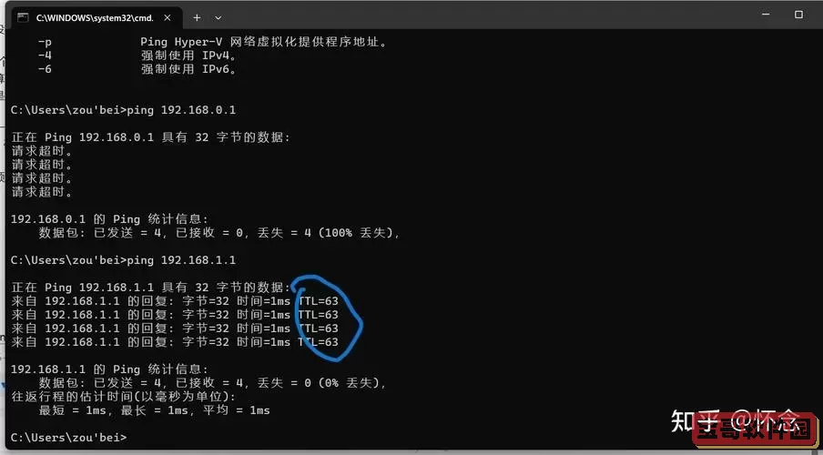解决ping通但curl无法访问的网络问题指南图2