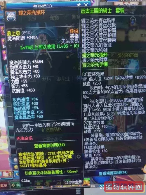 dnf帕拉丁搬砖武器图1