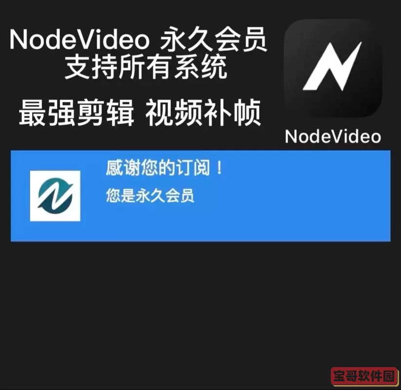 下载NodeVideo安卓4.1破解版:专业视频编辑工具,轻松创作精彩视频图2