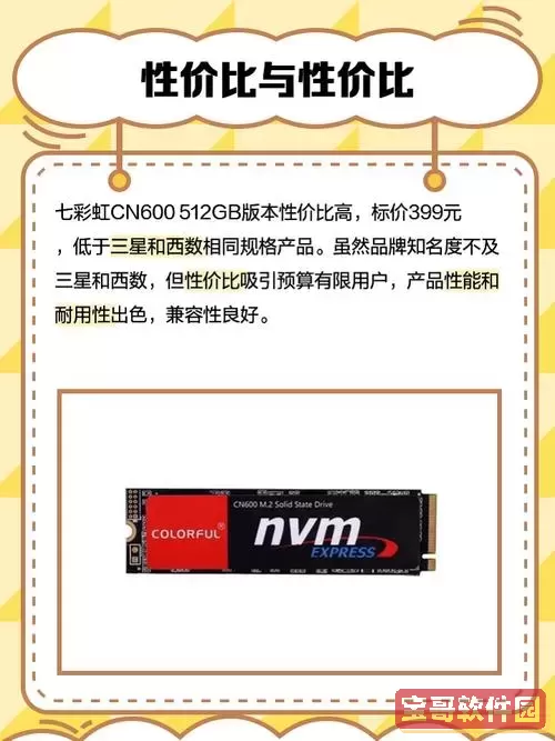 七彩虹CN600固态硬盘评测：性能与稳定性全面分析图1