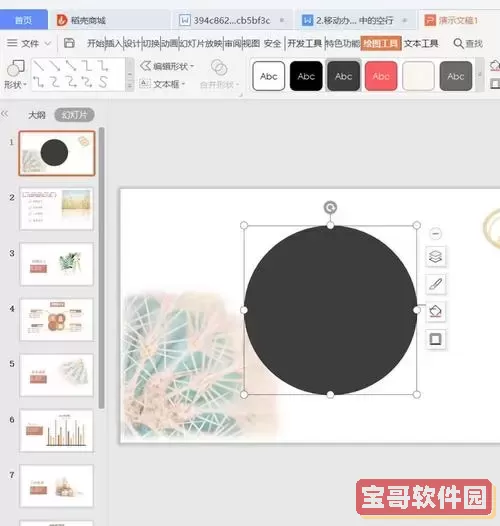 ppt怎么把图片圈出来图3