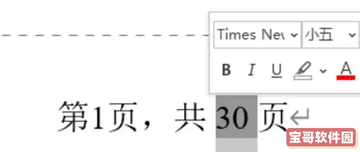 如何在Word 2019中设置页码格式为“第X页 共Y页”图2