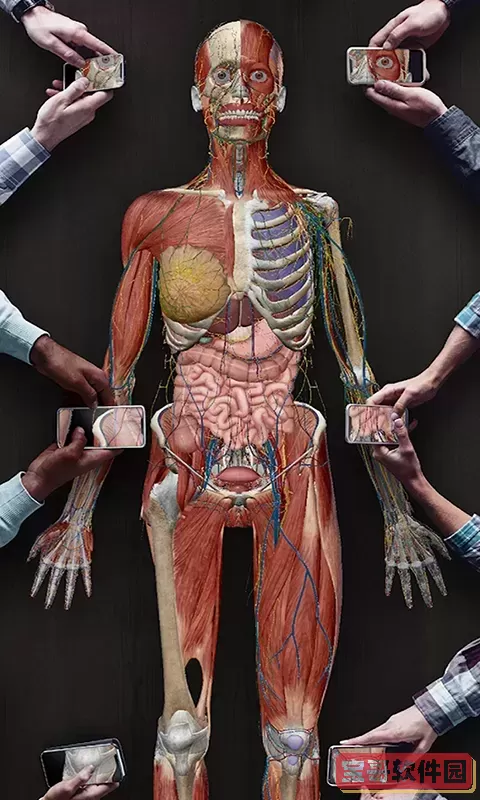 3D人体解剖下载免费版