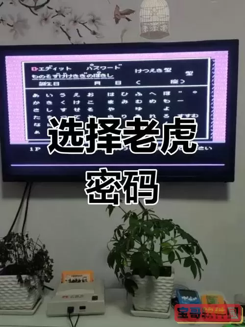 热血格斗选老虎-热血格斗选老虎秘籍图2