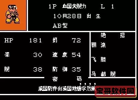 热血格斗双人大招-热血格斗双人选人秘籍中文版图3