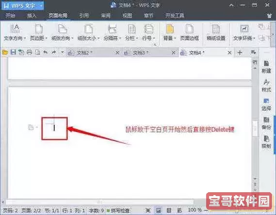 wps最后一页空白页怎么删除不掉_wps最后一页空白无法删除图2