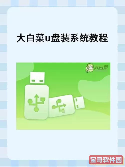 大白菜u盘装win10系统教程_大白菜u盘怎么装win10系统图2