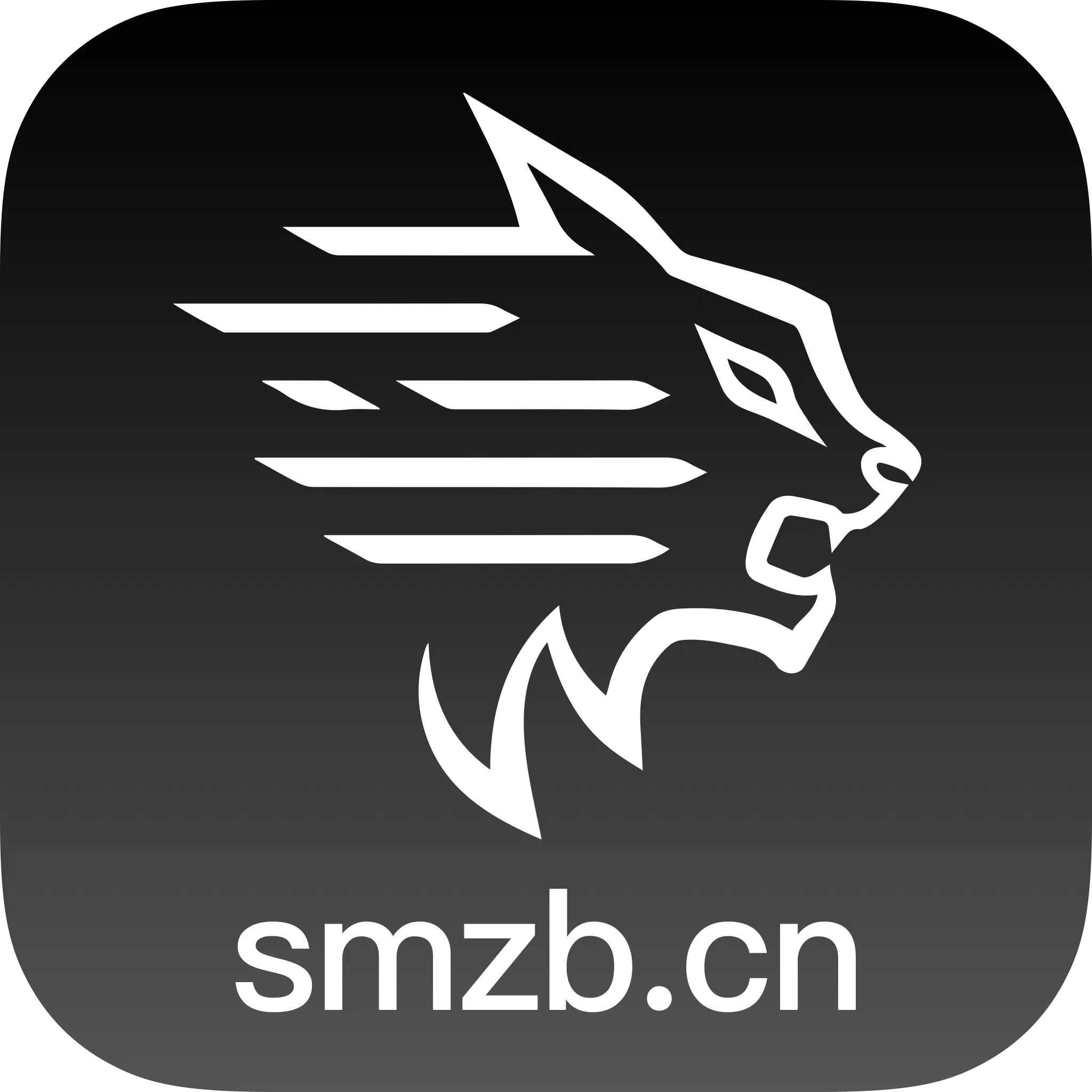小狐狸直播下载app