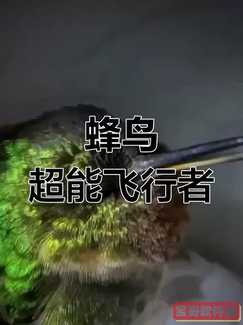 倩女幽魂三片蜂鸟-倩女幽魂三片蜂鸟怎么打图2