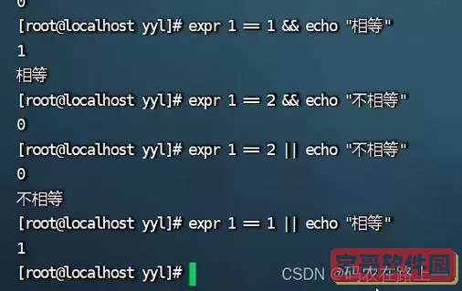 linux怎么运行shell脚本_linux运行shell脚本却变成编辑图1