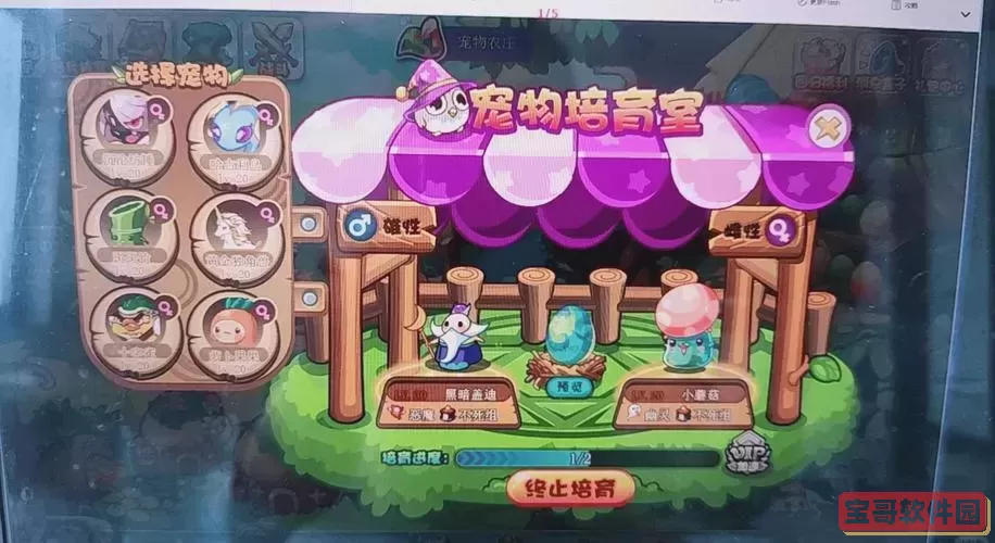 洛克王国帕尔蛋获取攻略:如何找到帕尔瓦斯的完整信息图1