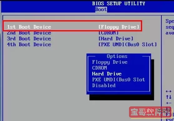 bios选择硬盘启动顺序图3