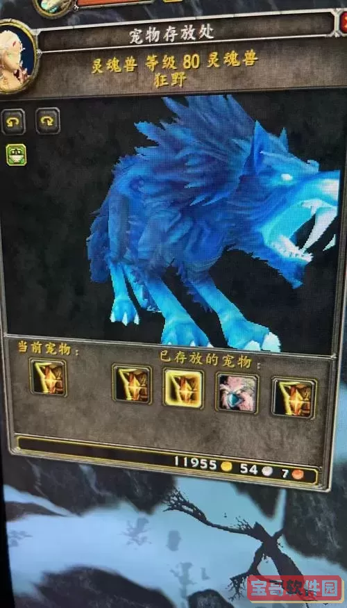魔兽世界抓灵魂兽的方法详解与技巧分享图3