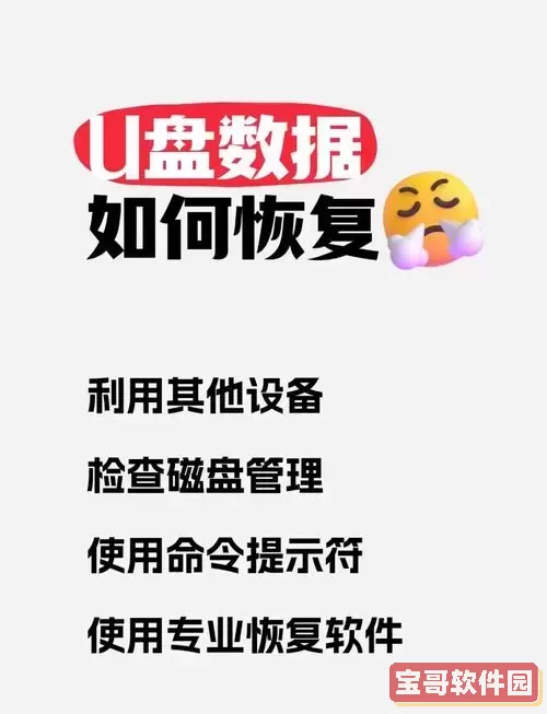 Recuva数据恢复软件：U盘数据恢复技巧与教程图1