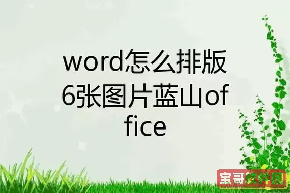 word一页六张图片排版_word一页多张图片排版图2