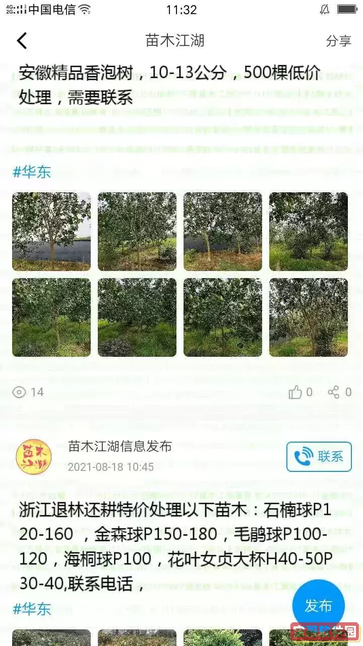 苗木江湖下载安卓版