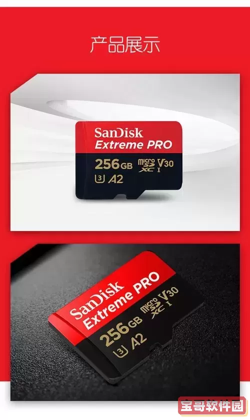 256g手机内存卡多少钱_256g内存卡要多少钱图1
