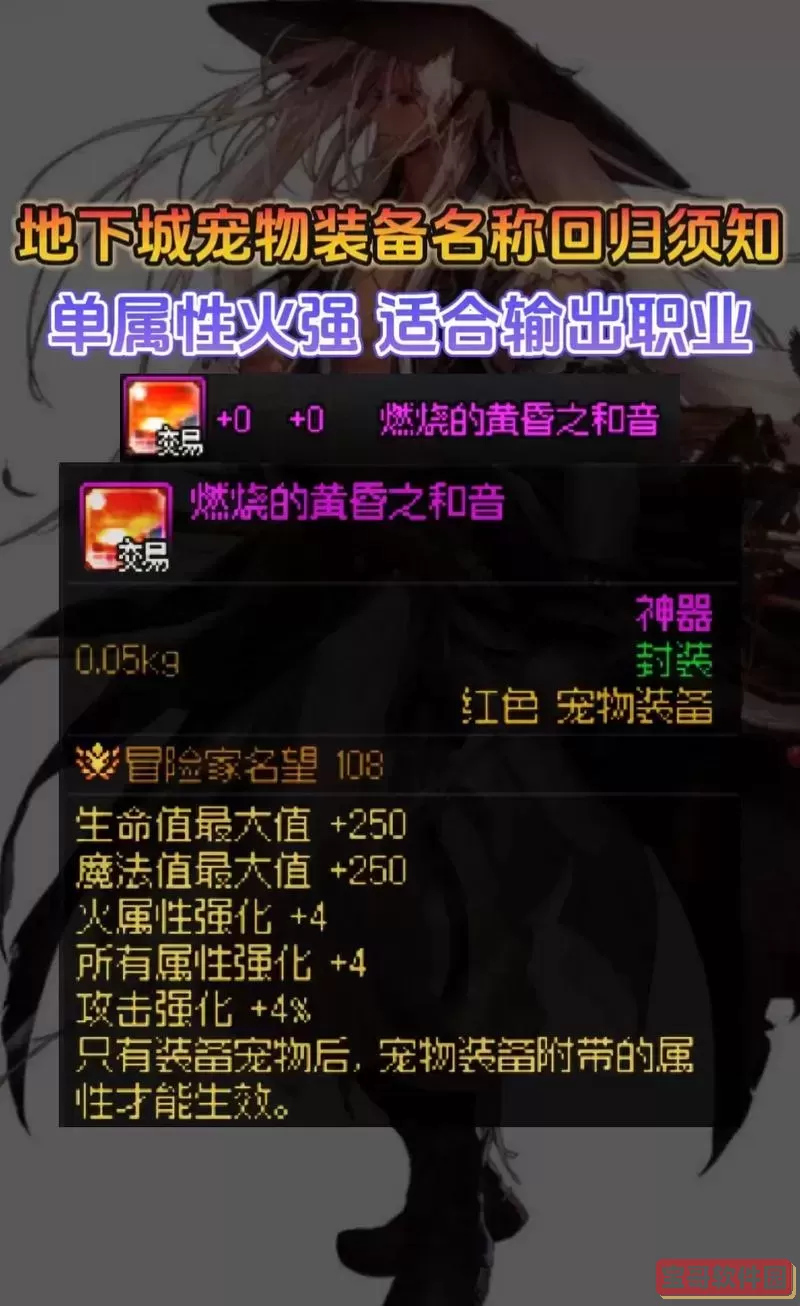 DNF2024宠物装备最新改动详解与强化攻略图1