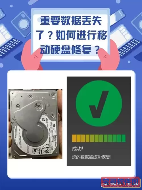 移动硬盘chkdsk修复后数据丢失图3