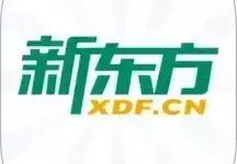 word表格的边框线粗细设置