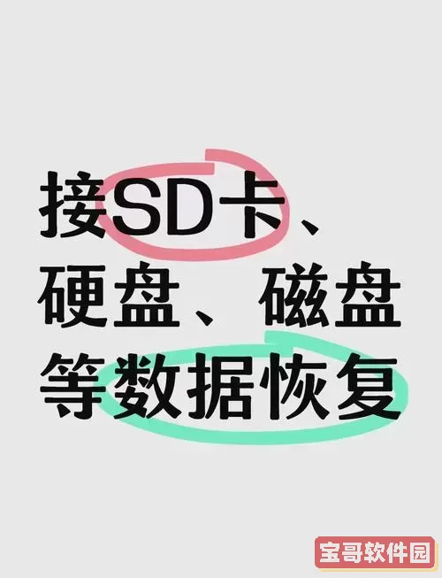 手机把u盘格式化怎么恢复_手机把u盘格式化怎么恢复文件图3