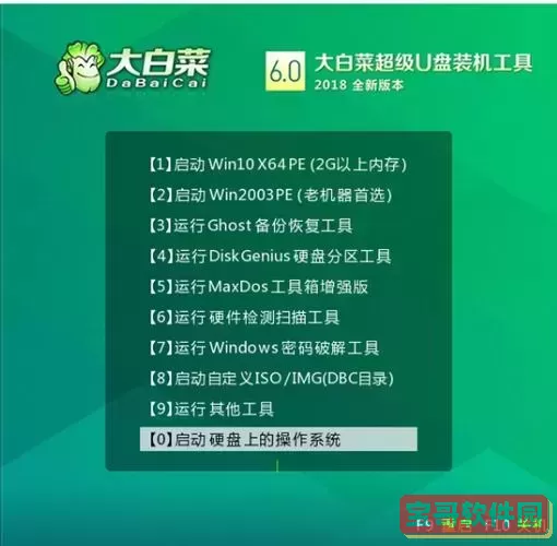u盘制作启动工具排行榜图2