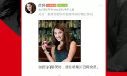 vsdx文件手机用什么打开