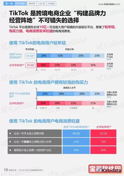 TikTok账号购买平台推荐与安全指南2024图3
