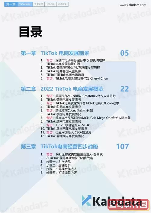 TikTok账号购买平台推荐与安全指南2024图1