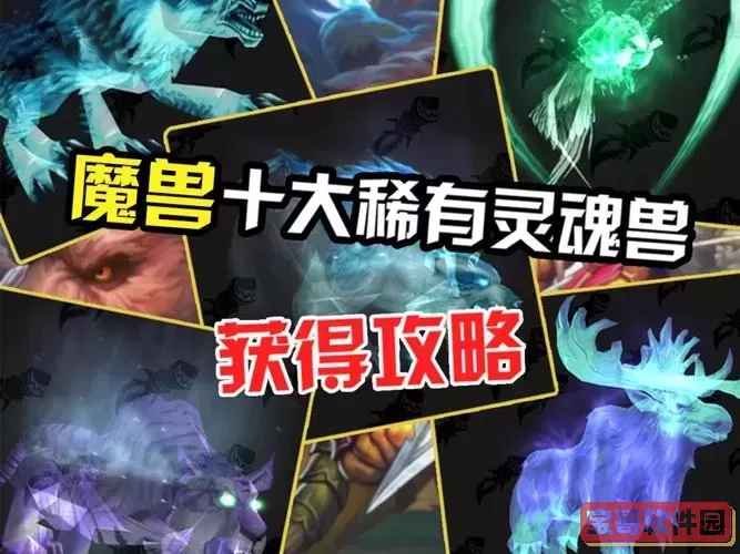 魔兽世界灵魂兽有什么不同图1