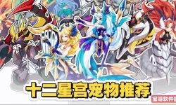 洛克王国十二星宫值得入手的