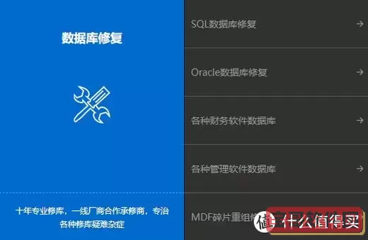 国内最顶尖的数据恢复公司_国内最好数据恢复公司怎么样图1