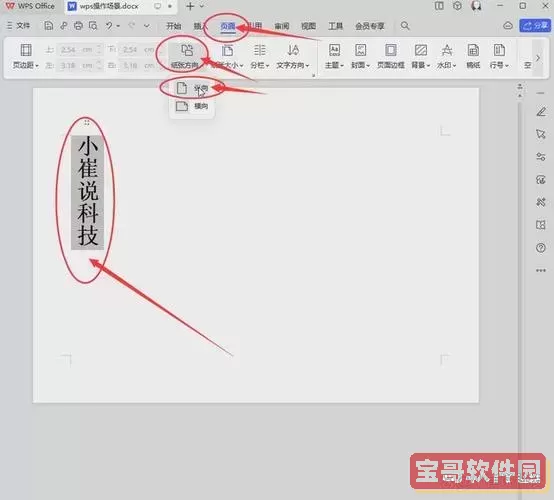 wps文档中怎么把部分页横向改为竖向图3