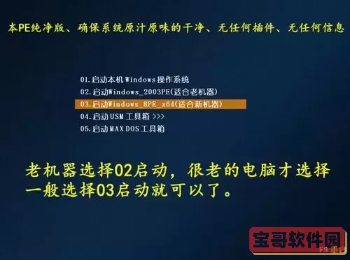 纯净的u盘启动工具图2