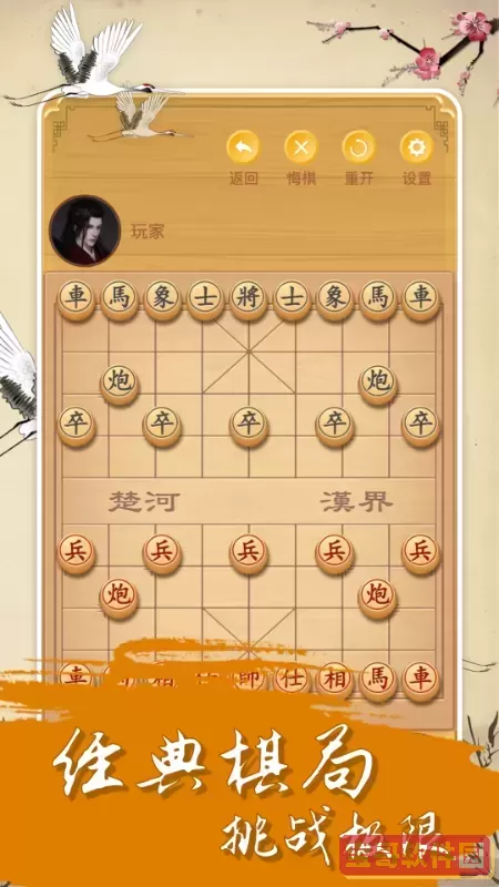 中国经典象棋免费下载